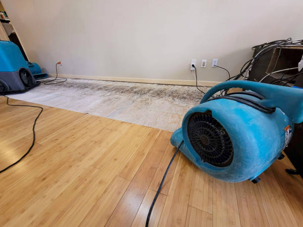 Professional Water Extraction technician working in Lismore, MN